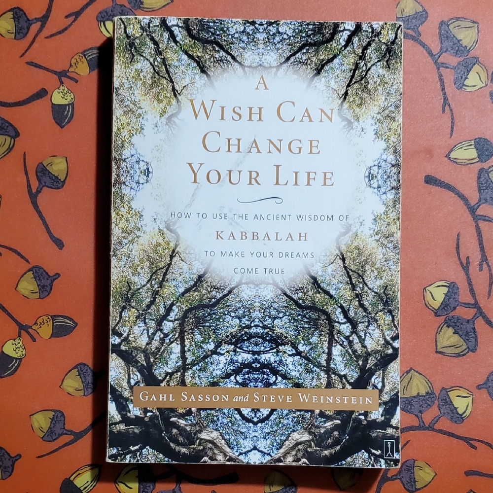 A Wish Can Change Your Life Book Paperback Gahl Sasson